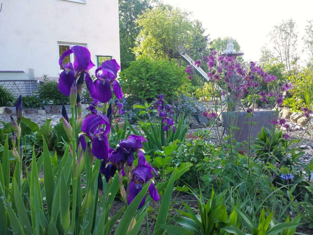 Ruhe Auf Dem Land 1 - Maria Apartamento Aulendorf Exterior foto